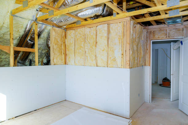 Best Eco-Friendly Insulation in Jacksonville Beach, FL