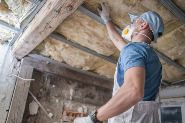 Best Geographic-Specific Insulation Services in Jacksonville Beach, FL