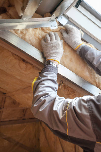 Best Energy Efficiency Insulation in Jacksonville Beach, FL
