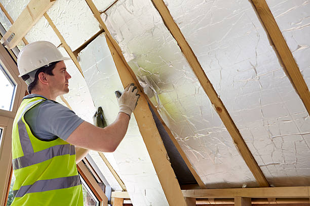Best Energy Efficiency Insulation in Jacksonville Beach, FL