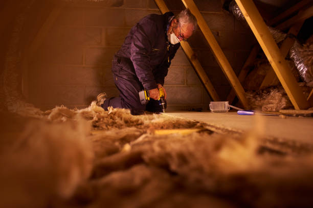 Best DIY Insulation Kits and Guidance in Jacksonville Beach, FL